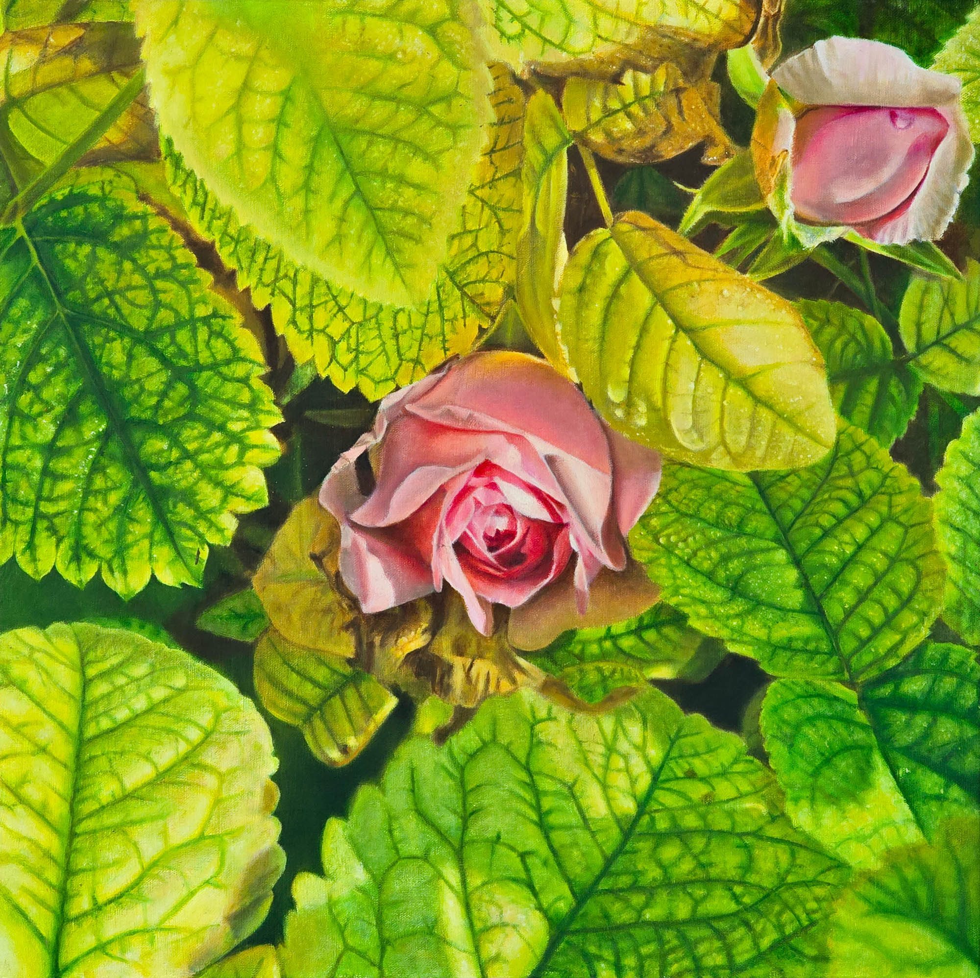 The Chosen One, Oil on Canvas, 24 x 24 Inches, 31/Mar/2020, Private Collection