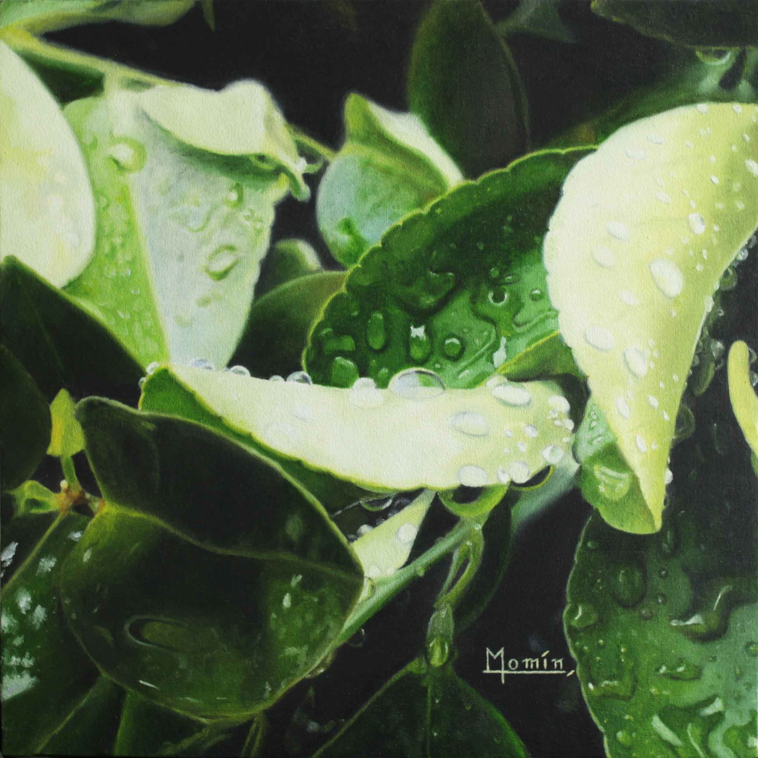 Tears of Joy, Oil On Canvas, 24 x 24 Inches, 27/Sept/2018, Private Collection